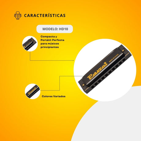 Armónica Metálica de 10 Hoyos HD10
