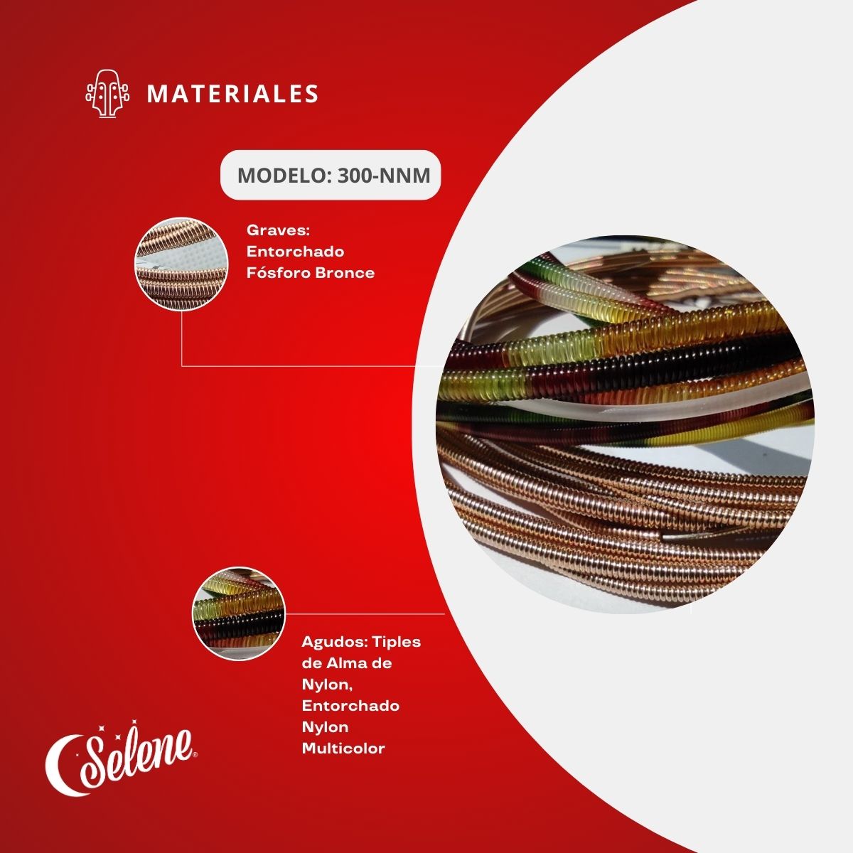 Cuerdas Para Guitarrón Folk Mex Mariachi Fósforo Bronce Selene 300-NNM